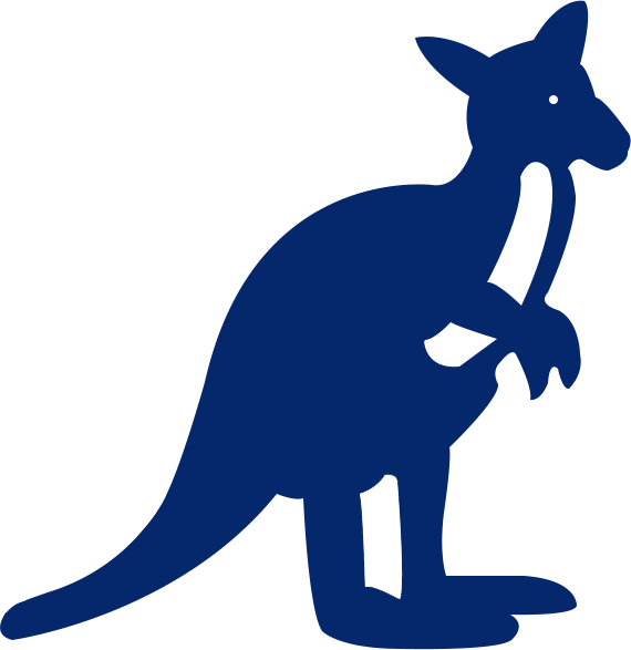 UMKC Kangaroos 1980-1987 Secondary Logo diy iron on heat transfer
